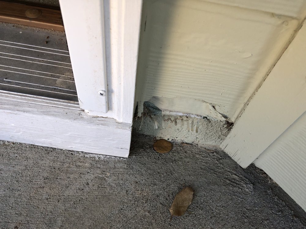 Slide of Wes Does It