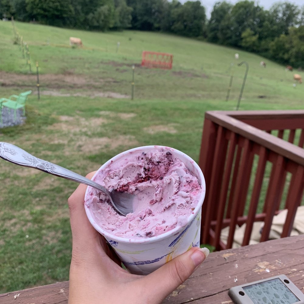 SCOOPS BY THE DOZEN Updated August 2024 26 Photos 5527 Rte 7