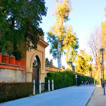 Jardines de Murillo - Jardines de Murillo, Seville -- Paseo de Catalina de Ribiera - Parks Near Me - Seville, SE
