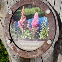 Guemes Channel Trail