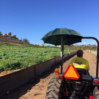 Pumpkin Station - Farms Near Me - Escondido, California