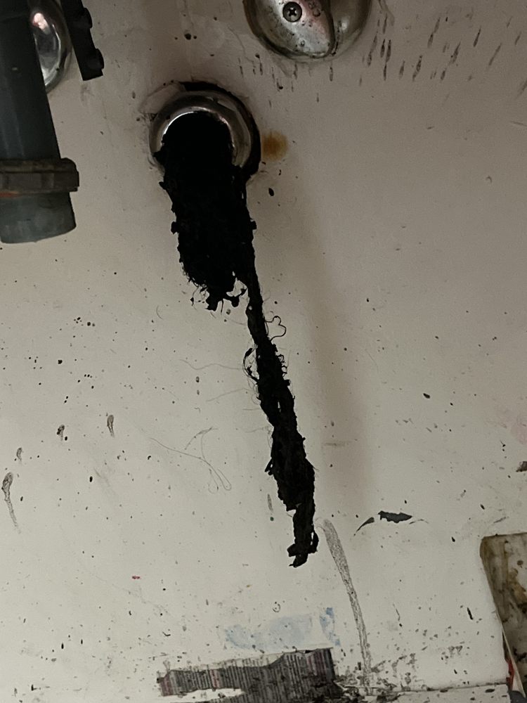 Slide of Drain Whisper