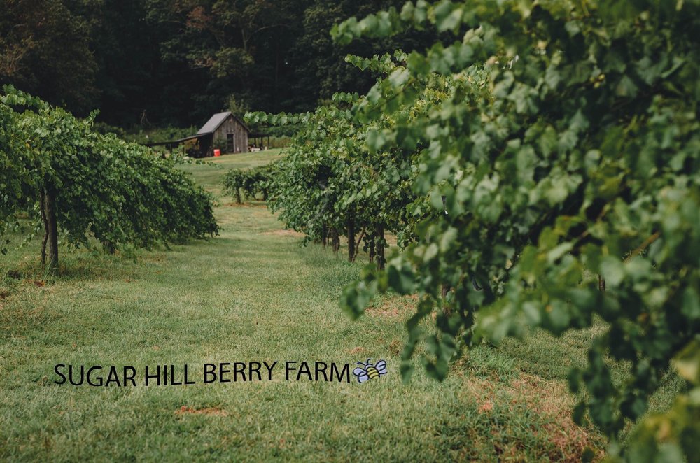 SUGAR HILL BERRY FARM TEMP. CLOSED 35 Photos 6646 Jake Kemp Rd