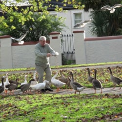 The Lough - Birds of the Lough Nov 09