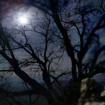 Mount Woodson Trail - Cool looking dead tree - Hiking Near Me - Poway, California Mount Woodson Trail - Cool looking dead tree - Hiking Near Me - Poway, California