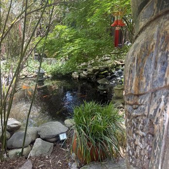 Indochine - Koi Pond - Asian Fusion Near Me - Wilmington, North Carolina