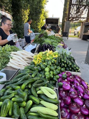The Vineyard Farmer's Market by null