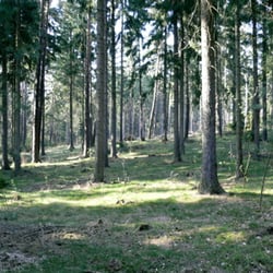 Dresdener Heide