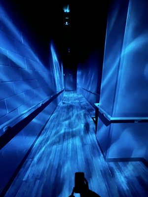 St. Louis Aquarium at Union Station by null