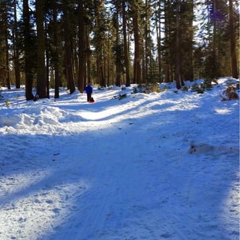 Echo Lake Sno-Park - A nice slope that is easy to pull the little ones up and surprisingly quick on the way down. - Parks Near Me - Echo Lake, California