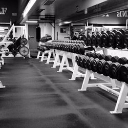 World Gym Mishawaka - BARBELL HEAVEN