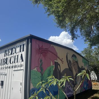 Beech Kombucha - Kombucha Near Me - St. Petersburg, Florida