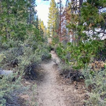 Whale Beach Trail - Whale Beach Trail - Hiking Near Me Whale Beach Trail - Whale Beach Trail - Hiking Near Me
