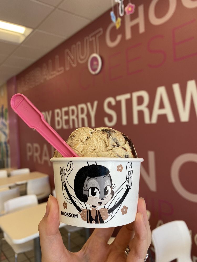 Baskin-Robbins Logo