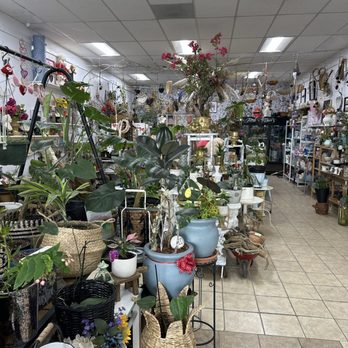 Azucena Bloom’s - Florists Near Me - Gilroy, California Azucena Bloom’s - Florists Near Me - Gilroy, California