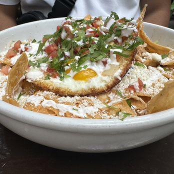 Blu Jam Cafe - Chilaquiles - Breakfast & Brunch Near Me - Los Angeles, California Blu Jam Cafe - Chilaquiles - Breakfast & Brunch Near Me - Los Angeles, California