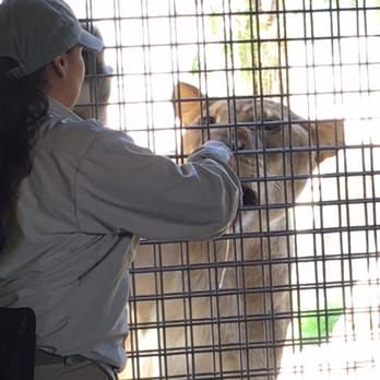 El Paso Zoo - Seen Lions get fed behind a fence, seen Elephants do tricks. - Aquariums Near Me - El Paso, Texas El Paso Zoo - Seen Lions get fed behind a fence, seen Elephants do tricks. - Aquariums Near Me - El Paso, Texas