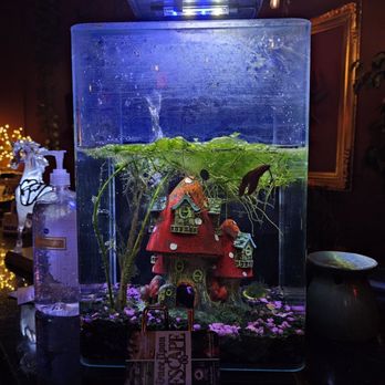 Once Upon An Escape - Adorable! Maybe it needs more water??? - Escape Games Near Me - Las Vegas, Nevada Once Upon An Escape - Adorable! Maybe it needs more water??? - Escape Games Near Me - Las Vegas, Nevada