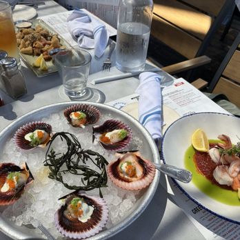 Bluewater Grill Seafood Restaurant Newport Beach - Seafood Near Me - Newport Beach, California