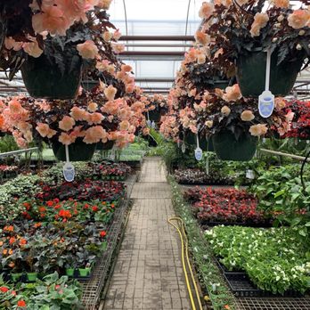 Tonkadale Greenhouse - Nurseries & Gardening Near Me - Minnetonka, Minnesota Tonkadale Greenhouse - Nurseries & Gardening Near Me - Minnetonka, Minnesota