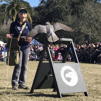 Southeastern Wildlife Exposition - Birds of prey - Festivals Near Me - Charleston, South Carolina Southeastern Wildlife Exposition - Birds of prey - Festivals Near Me - Charleston, South Carolina
