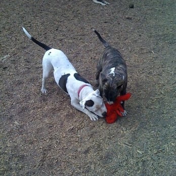 Joaquin Miller Dog Park - Dog Parks Near Me - Oakland, California