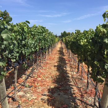 Emeritus Vineyards - Wineries Near Me - Sebastopol, California