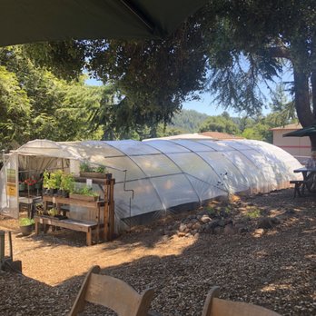 Melamore Cafe - Sit outside and enjoy lunch on this farm - Salad Near Me - Scotts Valley, California Melamore Cafe - Sit outside and enjoy lunch on this farm - Salad Near Me - Scotts Valley, California