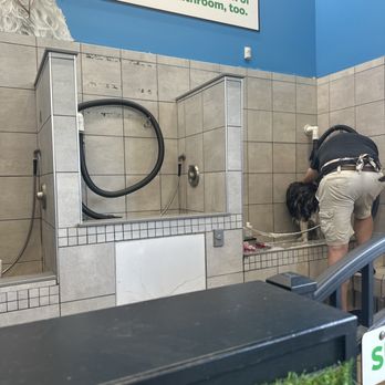 Pet Supplies Plus Orange Park - At the Dog wash - Pet Groomers Near Me - Orange Park, Florida