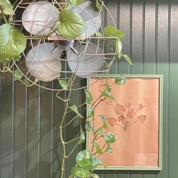 Harken Cafe - Coffee & Tea Near Me - Charleston, South Carolina Harken Cafe - Coffee & Tea Near Me - Charleston, South Carolina