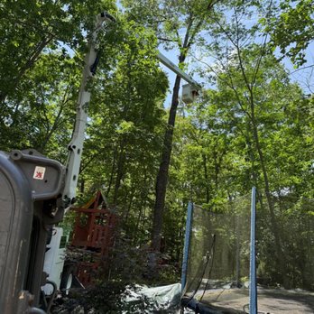 Prime Green Landscaping & Tree Service - Using our bucket truck to safely remove a tree over hanging playground and pond. - Tree Services Near Me Prime Green Landscaping & Tree Service - Using our bucket truck to safely remove a tree over hanging playground and pond. - Tree Services Near Me