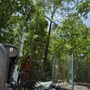 Photo of Prime Green Landscaping & Tree Service