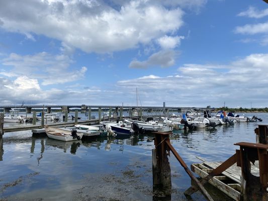 Westport Sea Farms by null