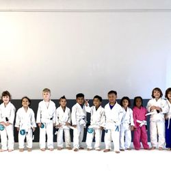 Free World Jiu Jitsu