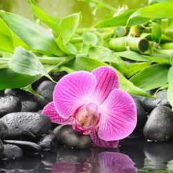 Lucky Massage - Incal outcall available