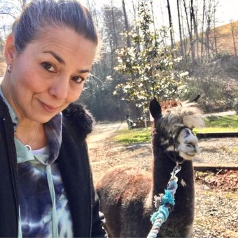 Shaka Alpaca Farm - Petting Zoos Near Me - Murphy, North Carolina