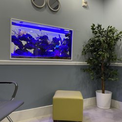United Dental Specialists - Waiting room, second floor