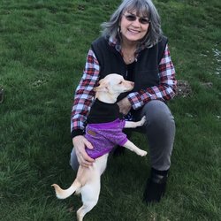All Paws on Deck Pet Care - Susan and Hazel in winter