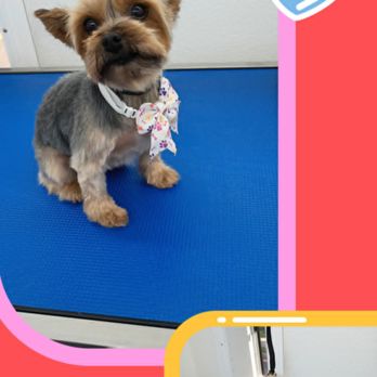 HydroDog - Pet Groomers Near Me HydroDog - Pet Groomers Near Me