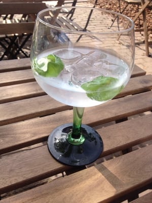 Mossel & Gin by null