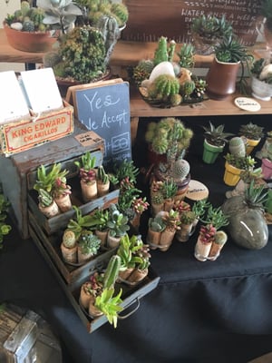 Morean Center for Clay by null