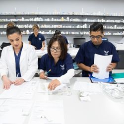 UEI College - Fresno - Pharmacy Technician students working on assignments in lab.