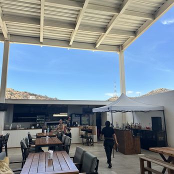 Cactus Tours - Tours Near Me - Cabo San Lucas, BCS
