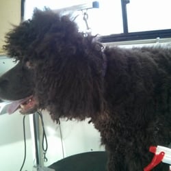 Eilee says "before my groom"