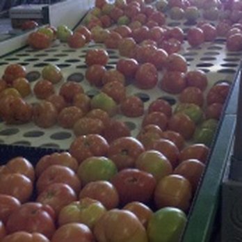 Jackson Farms - Farmers Market Near Me - Grand Ridge, Florida