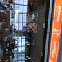 Photo of Mondo Mobil