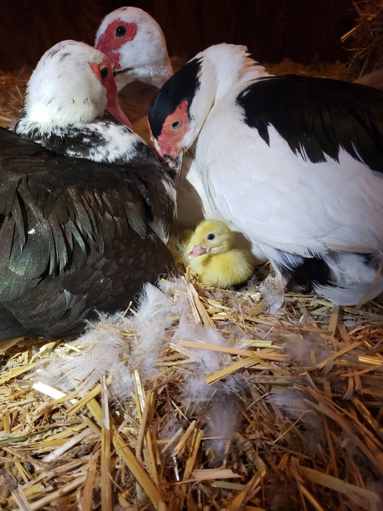 THE HAPPY HEART HAVEN Updated May 2024 67 Photos & 23 Reviews