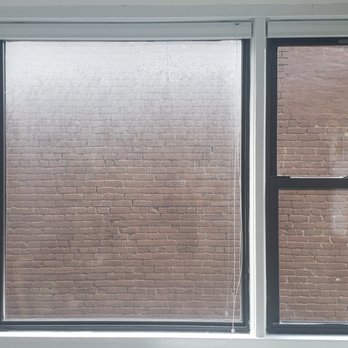 Moisha Window Cleaning - A three-pane window with a brick wall outside and a hanging plant in the top right corner inside. - Window Washing Near Me - Brooklyn, New York