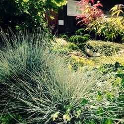 Wirtschaft Heyer - Heyer Gartenbau GmbH