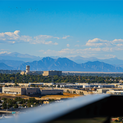 Rose & Thorn by null